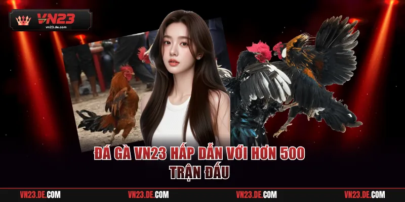 Đá gà VN23 hấp dẫn với hơn 500 trận đấu