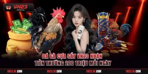 Đá gà cựa sắt